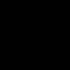 Meet your Posher, Sienna